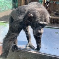 実際訪問したユーザーが直接撮影して投稿した富戸動物園伊豆シャボテン動物公園の写真