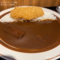 実際訪問したユーザーが直接撮影して投稿した上野カレーカレー専門店 クラウンエース 上野アメ横店の写真