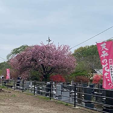 天平の丘公園のundefinedに実際訪問訪問したユーザーunknownさんが新しく投稿した新着口コミの写真