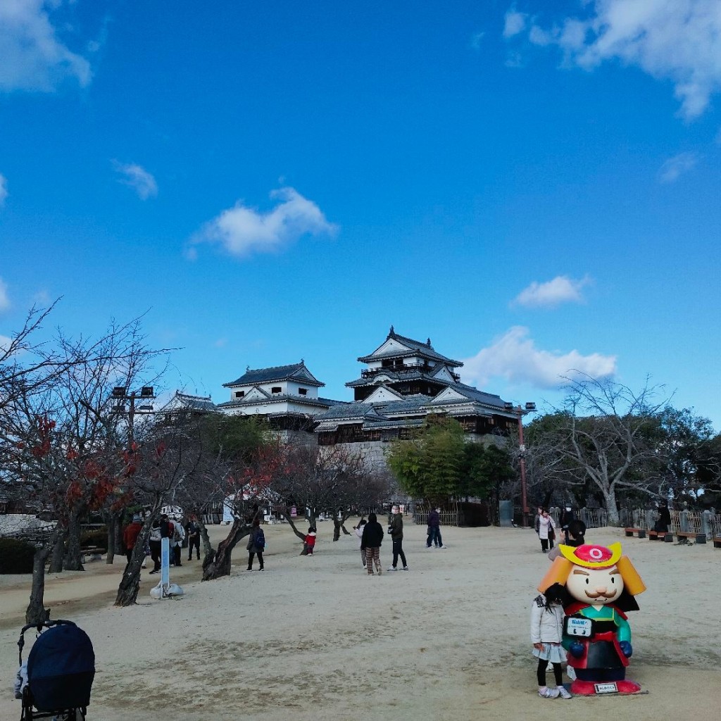 実際訪問したユーザーが直接撮影して投稿した丸之内公園松山城本丸広場の写真