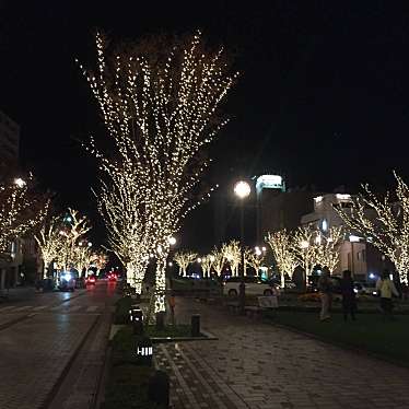 実際訪問したユーザーが直接撮影して投稿した易居町公園みなと大通り公園の写真