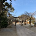 実際訪問したユーザーが直接撮影して投稿した平町神社日枝神社の写真