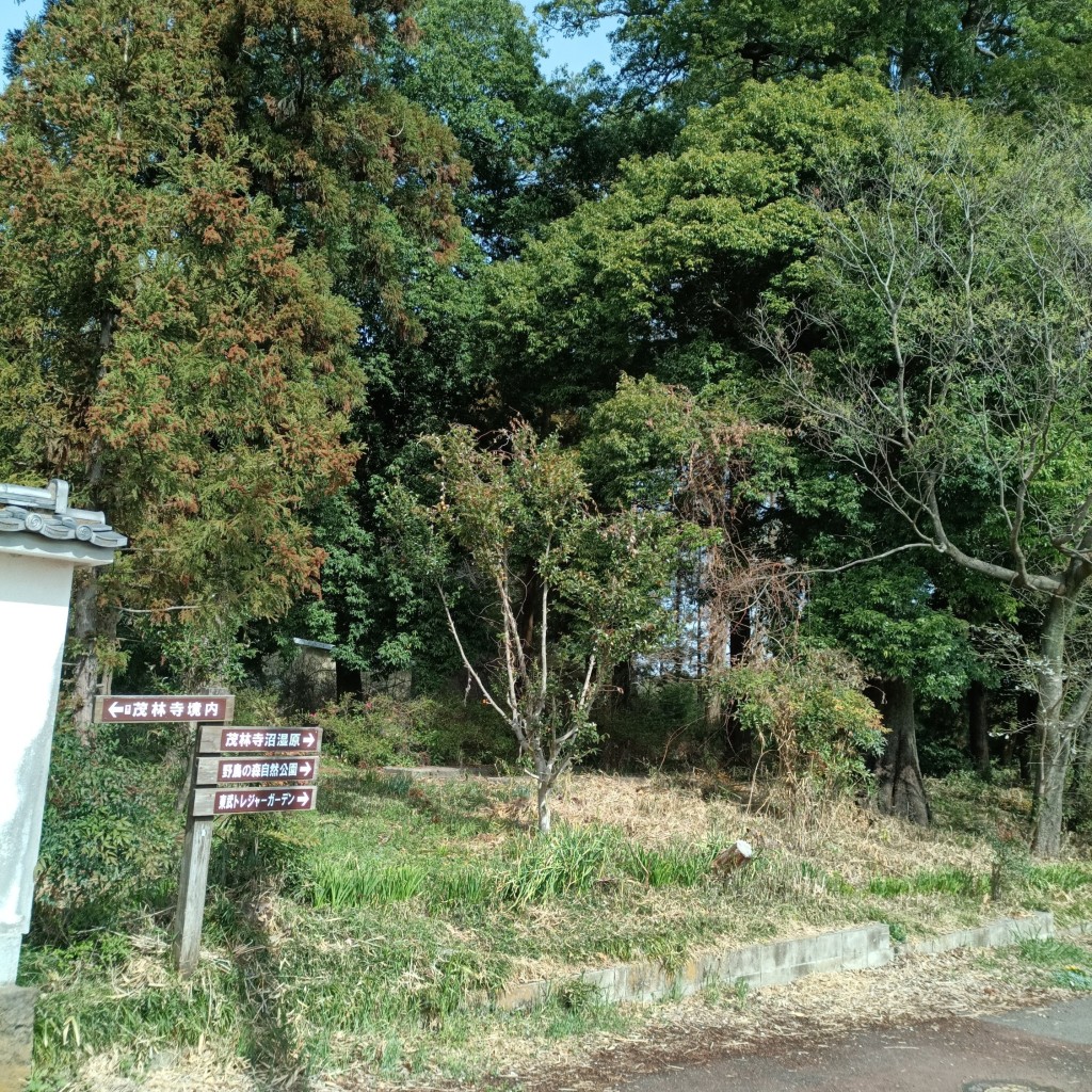 実際訪問したユーザーが直接撮影して投稿した堀工町公園茂林寺公園の写真
