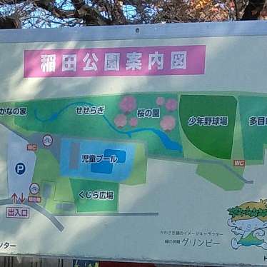 実際訪問したユーザーが直接撮影して投稿した菅稲田堤公園稲田公園の写真