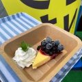 チーズケーキ - 実際訪問したユーザーが直接撮影して投稿した用田カフェ藤沢ブルーベリーファームの写真のメニュー情報