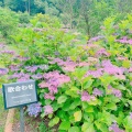 実際訪問したユーザーが直接撮影して投稿した楠本公園兵庫県立淡路島公園の写真