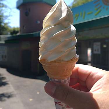 実際訪問したユーザーが直接撮影して投稿した奈良町アイスクリームミルクプラントソフト売店の写真