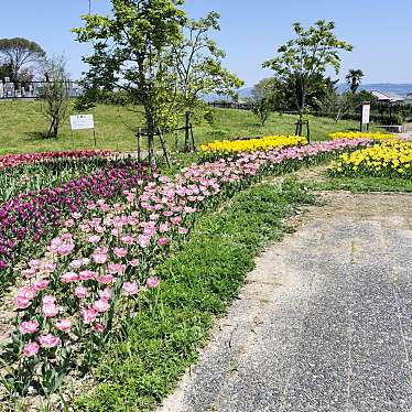 県営馬見丘陵公園のundefinedに実際訪問訪問したユーザーunknownさんが新しく投稿した新着口コミの写真