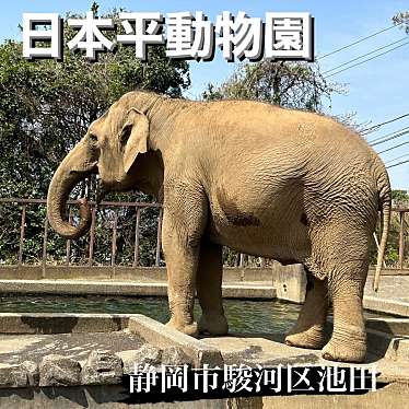 静岡市立 日本平動物園のundefinedに実際訪問訪問したユーザーunknownさんが新しく投稿した新着口コミの写真