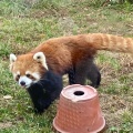 実際訪問したユーザーが直接撮影して投稿した茶臼山町動物園天王寺動物園の写真