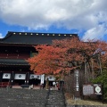 実際訪問したユーザーが直接撮影して投稿した山内庭園日光山輪王寺 逍遥園の写真