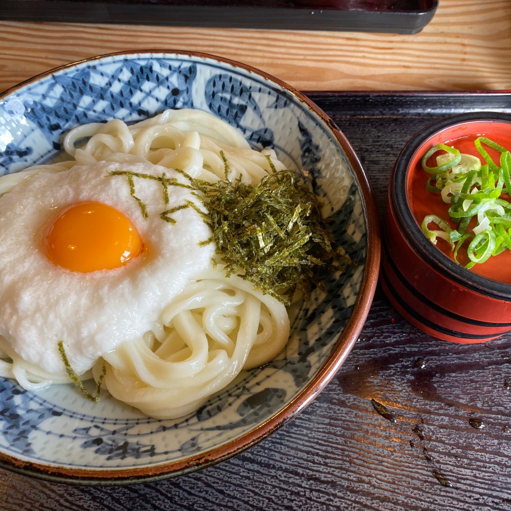 ユーザーが投稿したほっと山かけうどんの写真 - 実際訪問したユーザーが直接撮影して投稿した三代うどん山ちゃんうどんの写真