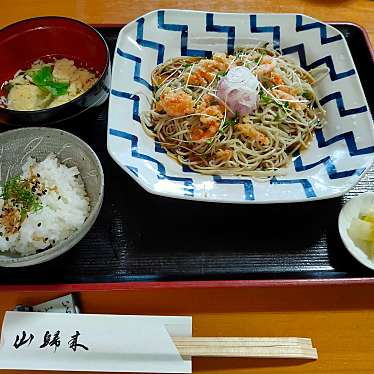 実際訪問したユーザーが直接撮影して投稿した飛鳥うどん山帰来の写真