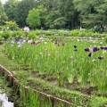 実際訪問したユーザーが直接撮影して投稿した畔吉公園上尾丸山公園の写真