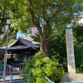 実際訪問したユーザーが直接撮影して投稿した北品川神社荏原神社の写真