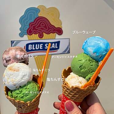 実際訪問したユーザーが直接撮影して投稿した西材木町アイスクリームブルーシール 岐阜ナガラガワフレーバー店の写真
