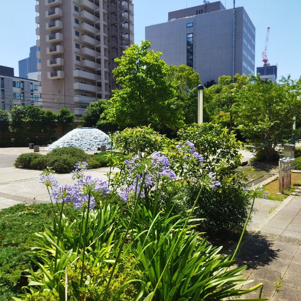 実際訪問したユーザーが直接撮影して投稿した大崎公園大崎光の滝公園の写真