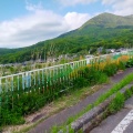 実際訪問したユーザーが直接撮影して投稿した筑波山 / 峠筑波山の写真