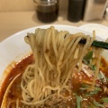 実際訪問したユーザーが直接撮影して投稿した西新宿ラーメン / つけ麺175 DENO担担麺 TOKYOの写真