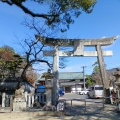 実際訪問したユーザーが直接撮影して投稿した上西山町和カフェ / 甘味処月見茶屋の写真