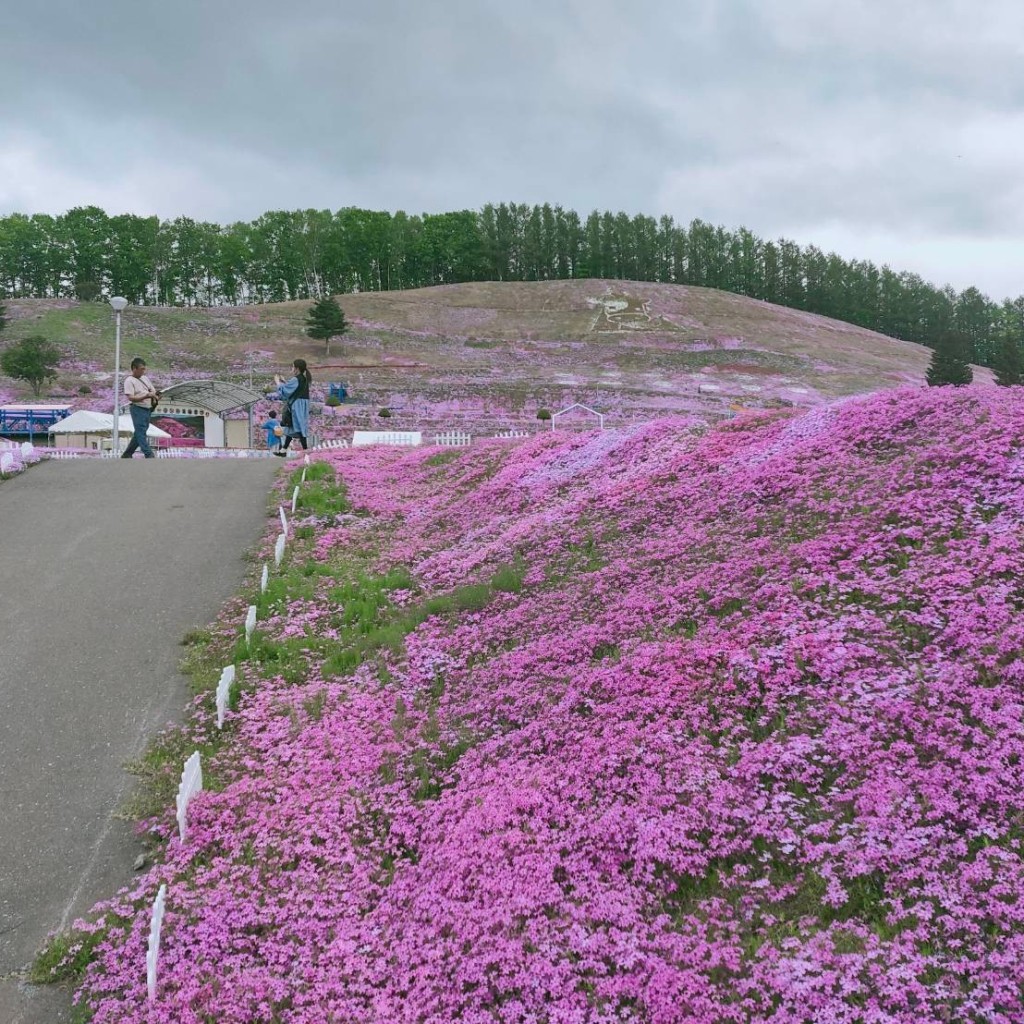 実際訪問したユーザーが直接撮影して投稿した東藻琴末広公園ひがしもこと芝桜公園の写真