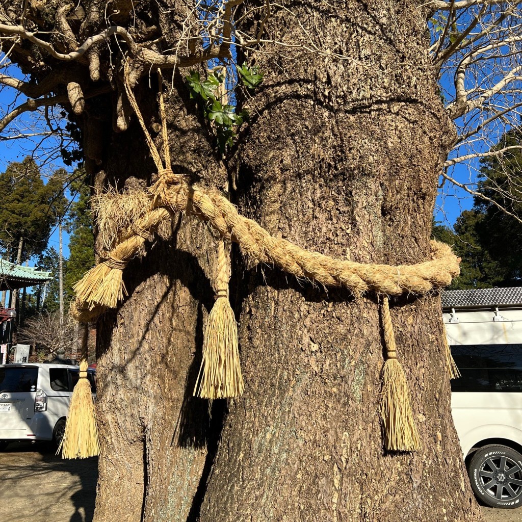 実際訪問したユーザーが直接撮影して投稿した鹿野山寺鹿野山神野寺の写真