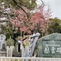 実際訪問したユーザーが直接撮影して投稿した南加賀屋記念碑大阪護國神社 東側慰霊碑の写真