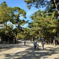 実際訪問したユーザーが直接撮影して投稿した社家町神社西宮神社の写真