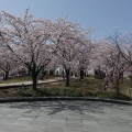 実際訪問したユーザーが直接撮影して投稿した一番堀通町公園白山公園の写真