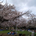 実際訪問したユーザーが直接撮影して投稿した富岡公園中央公園の写真