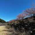 実際訪問したユーザーが直接撮影して投稿した湯本地域名所あじさい橋の写真