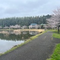 実際訪問したユーザーが直接撮影して投稿したおゆみ野中央公園大百池公園の写真