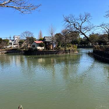 実際訪問したユーザーが直接撮影して投稿した碑文谷公園碑文谷公園の写真