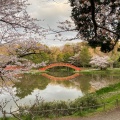 実際訪問したユーザーが直接撮影して投稿した金沢町寺金沢山 称名寺の写真