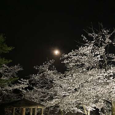 YUN722さんが投稿した悠久町神社のお店蒼柴神社/アオシジンジャの写真