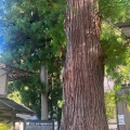 実際訪問したユーザーが直接撮影して投稿した荻町神社白川八幡神社の写真