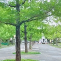 実際訪問したユーザーが直接撮影して投稿した水前寺公園神水町公園の写真