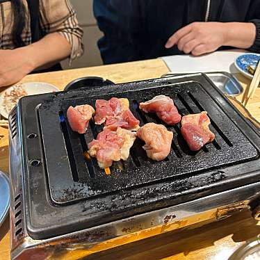 実際訪問したユーザーが直接撮影して投稿した中山手通居酒屋鳥焼肉 がんだれの写真