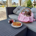 実際訪問したユーザーが直接撮影して投稿した康生通南カフェ喫茶スモーコの写真