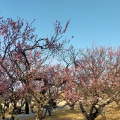 実際訪問したユーザーが直接撮影して投稿した若松町公園南公園の写真