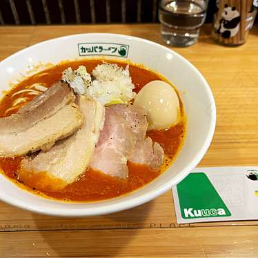 実際訪問したユーザーが直接撮影して投稿した北田園ラーメン / つけ麺カッパ64の写真