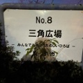 実際訪問したユーザーが直接撮影して投稿した樫切山公園樫切山三角遊園の写真