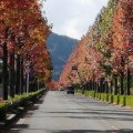 実際訪問したユーザーが直接撮影して投稿した御陵大枝山町4丁目公園桂坂公園の写真