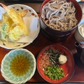 天ぷら割子そば - 実際訪問したユーザーが直接撮影して投稿した斐川町沖洲うどん鶴華 波積屋の写真のメニュー情報