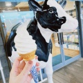 実際訪問したユーザーが直接撮影して投稿した塚本アイスクリームオラッチェソフトクリームスタンドの写真