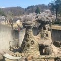 実際訪問したユーザーが直接撮影して投稿した動物園悠久山小動物園の写真