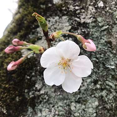 万博記念公園駅のundefinedに実際訪問訪問したユーザーunknownさんが新しく投稿した新着口コミの写真