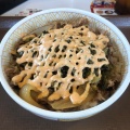 高菜明太マヨ牛丼並 - 実際訪問したユーザーが直接撮影して投稿した緑町牛丼すき家 安城緑町店の写真のメニュー情報