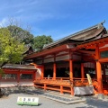 実際訪問したユーザーが直接撮影して投稿した香椎神社香椎宮の写真