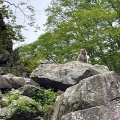 実際訪問したユーザーが直接撮影して投稿した平穏動物園地獄谷野猿公苑の写真